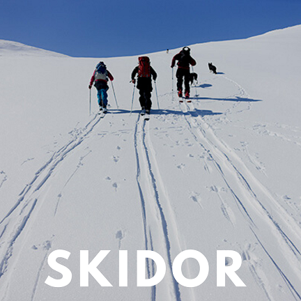 skidor